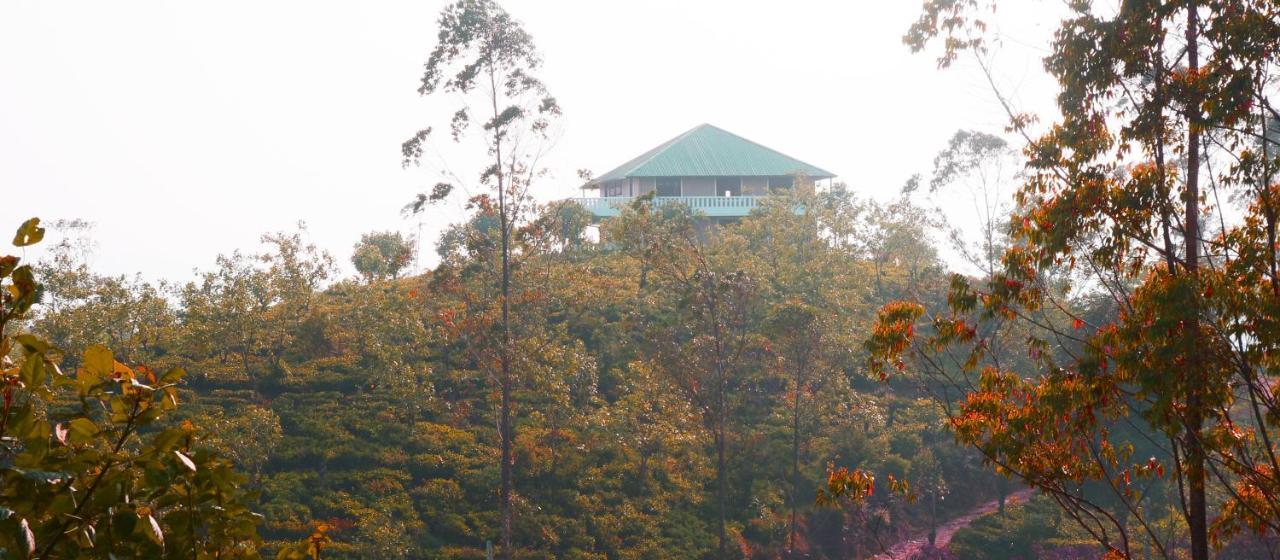 Tea Queens Bungalow Hatton Luaran gambar